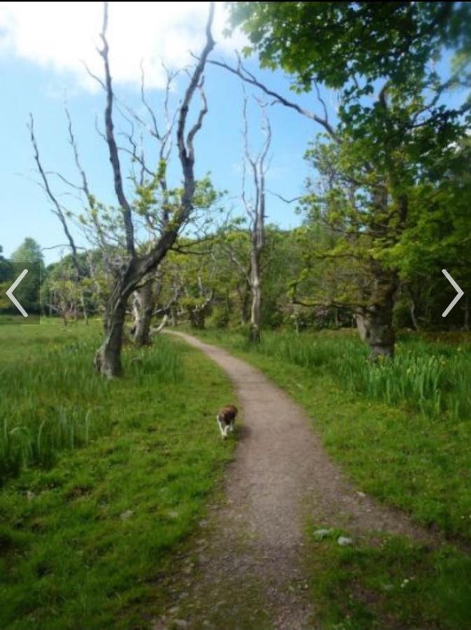 Happydays Caravan 1 Newton Stewart Whithorn Exteriör bild